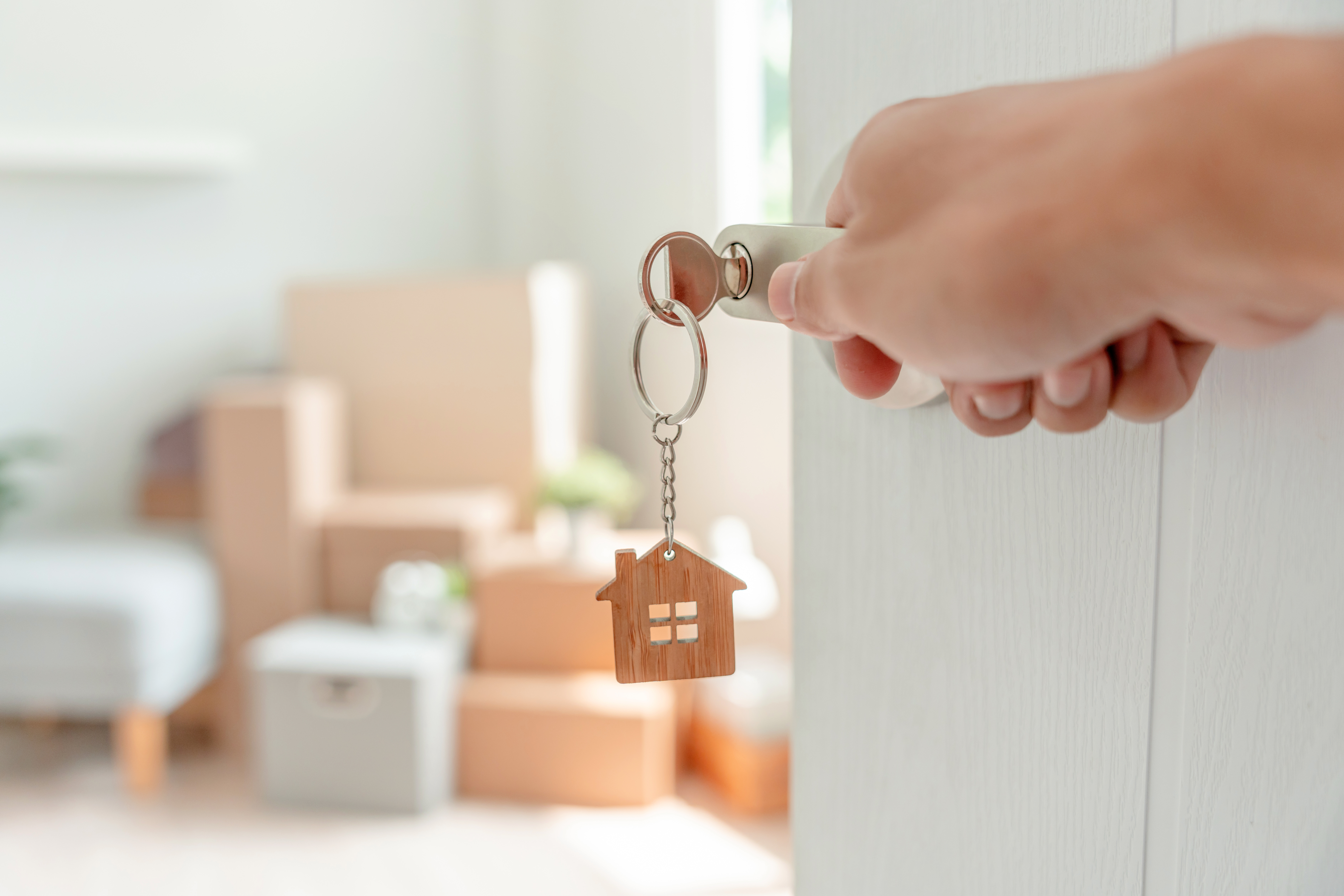 GESTIÓN PATRIMONIAL